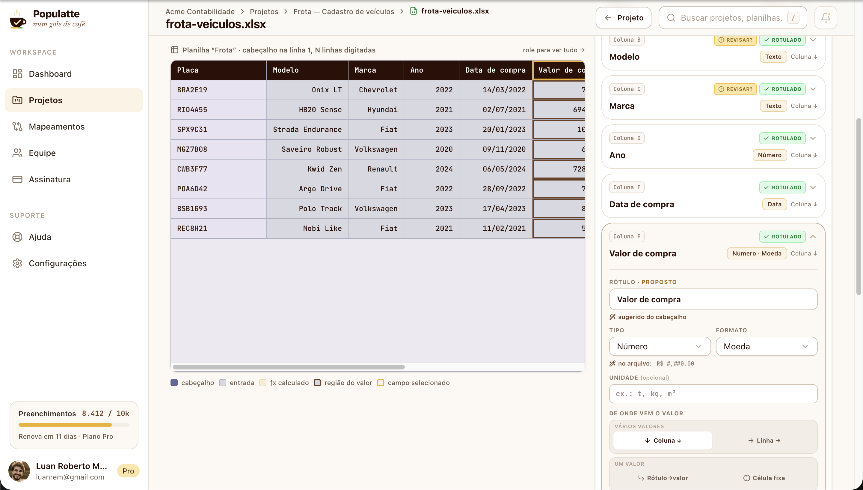 The spreadsheet grid on the left, with the selected column outlined, and on the right the field panel with type, format and the labeled and review badges of each column.