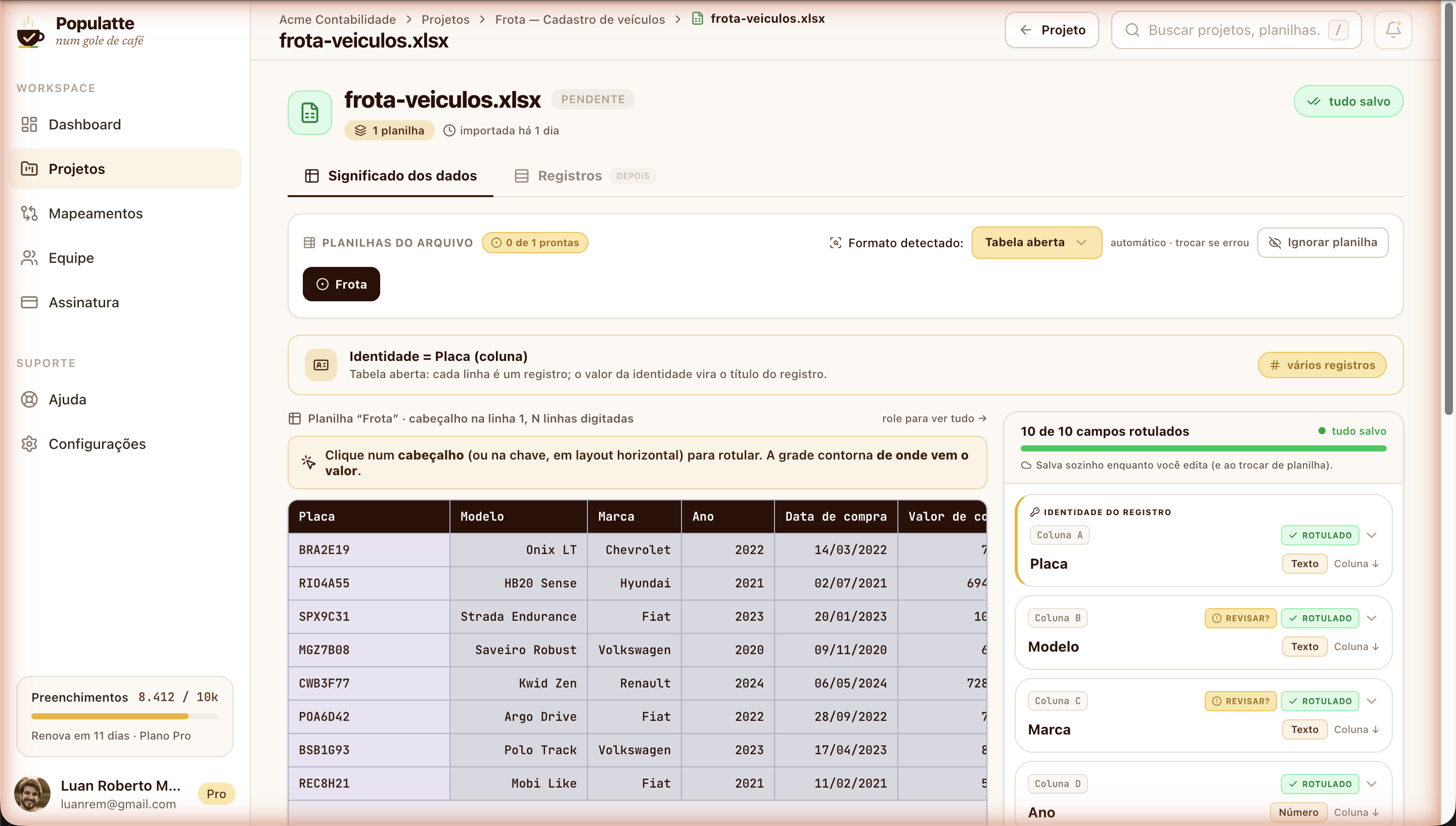 Top of the data meaning screen: file tabs, format detected as open table, the record identity strip and the start of the grid that mirrors the spreadsheet.